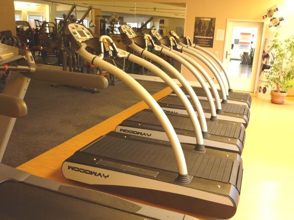 WOODWAY Desmo Intrain Andernach